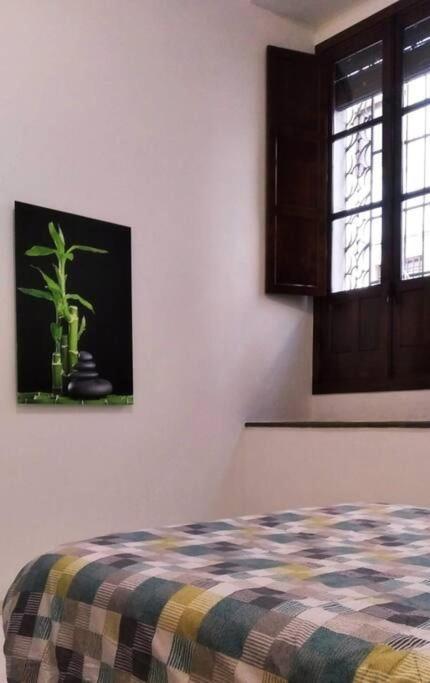 Ferienwohnung Disfruta De La Historica Córdoba Exterior foto